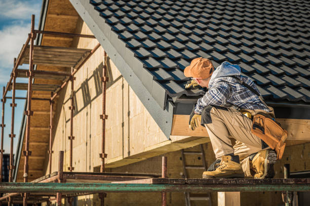 Best Skylight Installation and Repair  in Escondido, CA